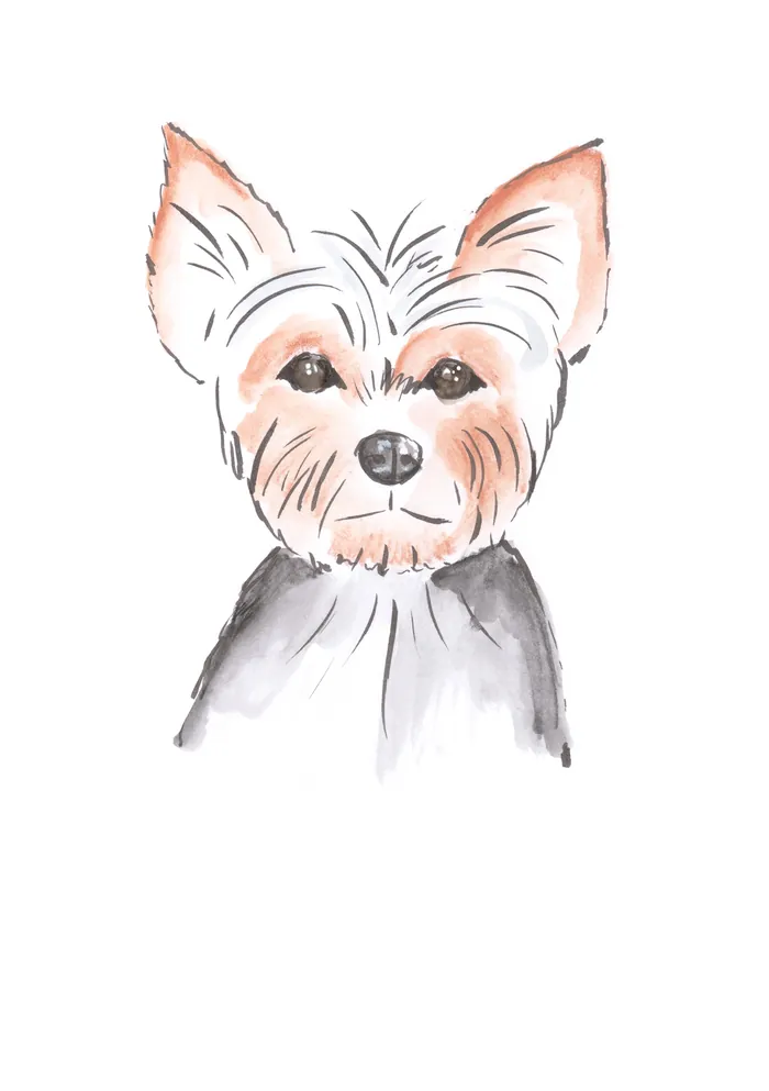 Watercolor illustration of a Yorkshire Terrier dog portrait