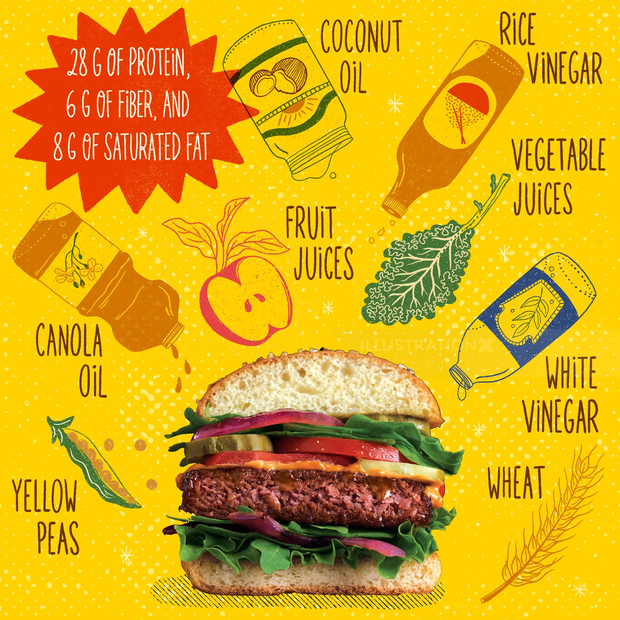Illustration showing plant-based burger ingredients by Alison Kerry