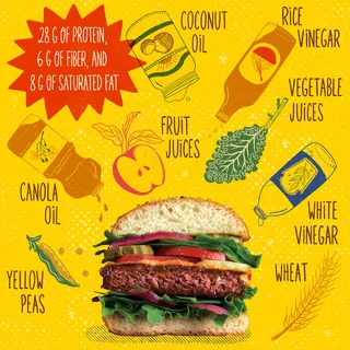 Illustration showing plant-based burger ingredients by Alison Kerry