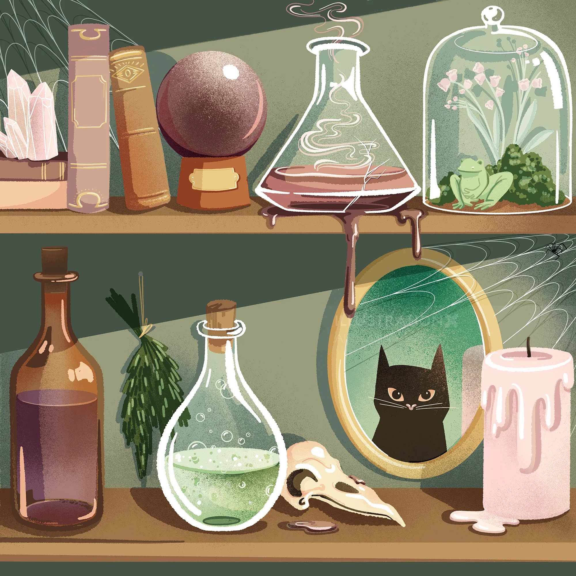 Shelf with potion bottles, herbs, skull, candle, and framed cat portrait by Alissandra Seelaus