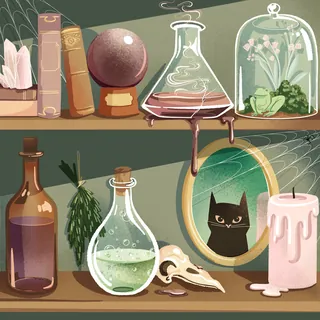 Shelf with potion bottles, herbs, skull, candle, and framed cat portrait by Alissandra Seelaus