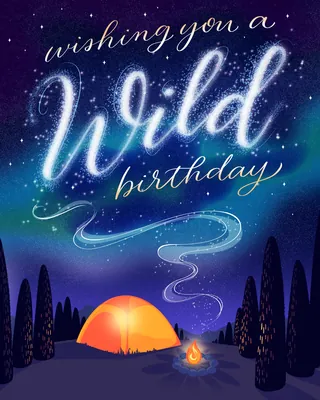 Birthday greeting card with Northern Lights and campfire scene