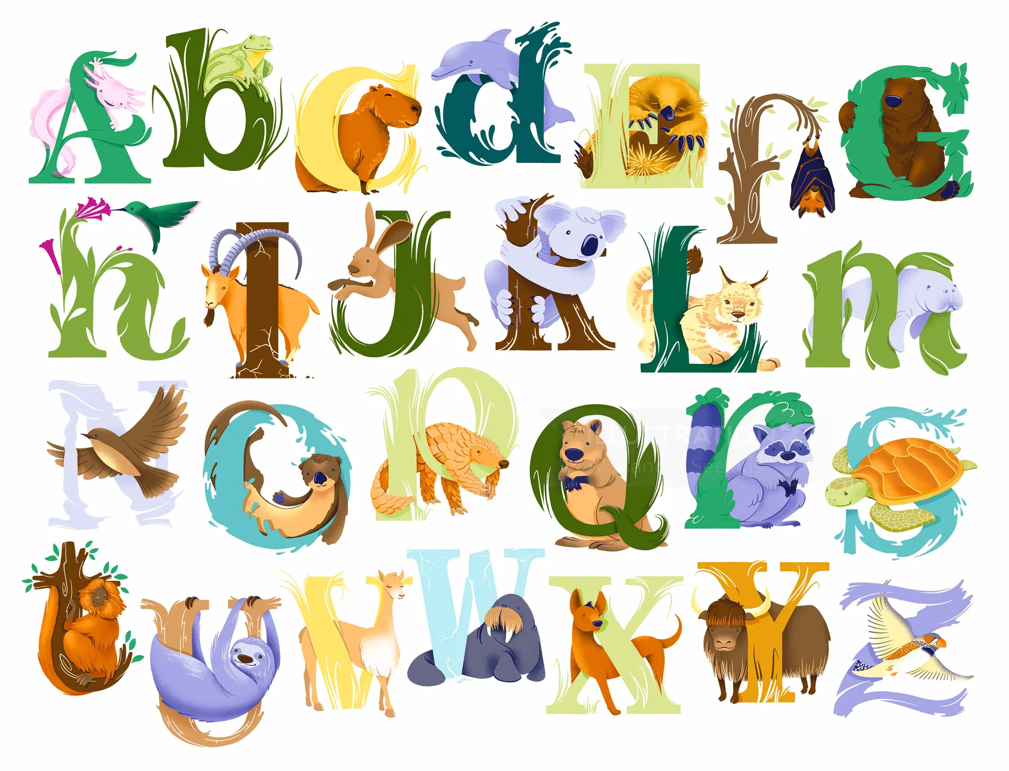 Alissandra Seelausによる、メキシコサンショウウオやカピバラなどの珍しい動物をモチーフにした手書きアルファベット