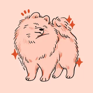 Fluffy dog with tail curled and sparkles around it