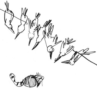 猫观察的鸟类 - Alyana Cazalet 绘制的插图