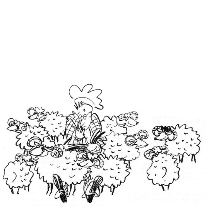 Cartoon sheep illustration by Alyana Cazalet
