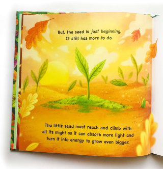 Libro infantil sobre plantas.

