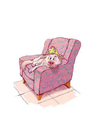 Small dog lying on a pink floral armchair