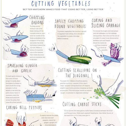 exotic, cuisine, food, diy, how to, infographic, technique, knife, asian, culinary, illustration