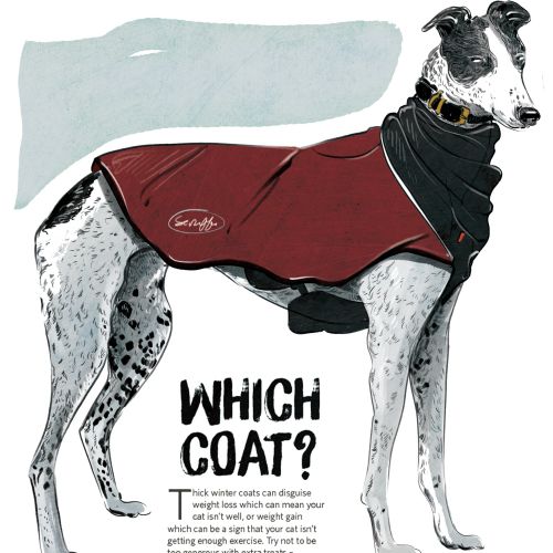 dog, pet, editorial, magazine, fashion, winter