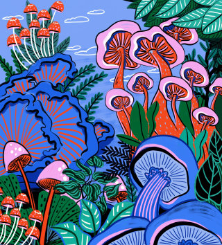 蘑菇植物自然插图