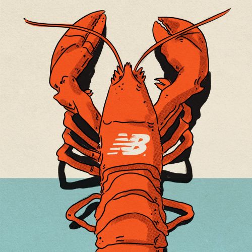 Excotic artwork of New Balance Lobster