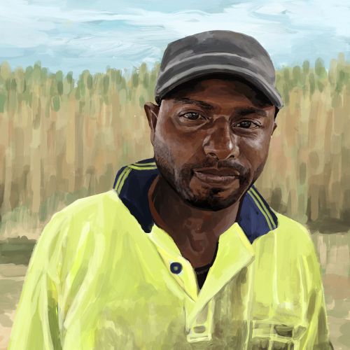 Portraits of Vanuatu in painting style