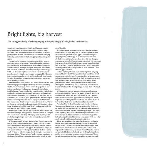 Editorial illustration relating Bright Lights, Big Harvest