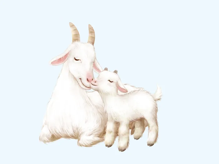 Illustration of a white goat and kid nuzzling, by Andreas Besser