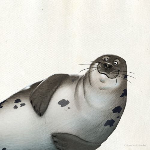 Animal character design of a sea lion
