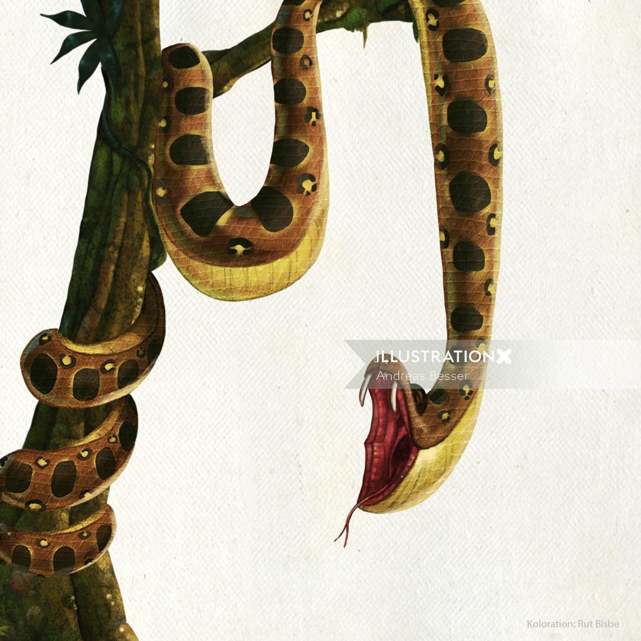 cartoon illustration of a python
