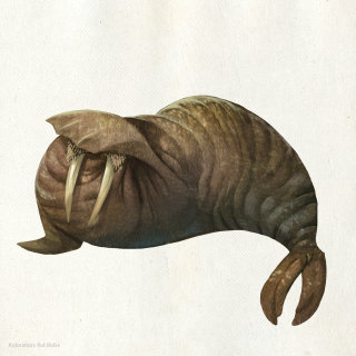 Conception de dessin animé animal d&#39;éléphant de mer
