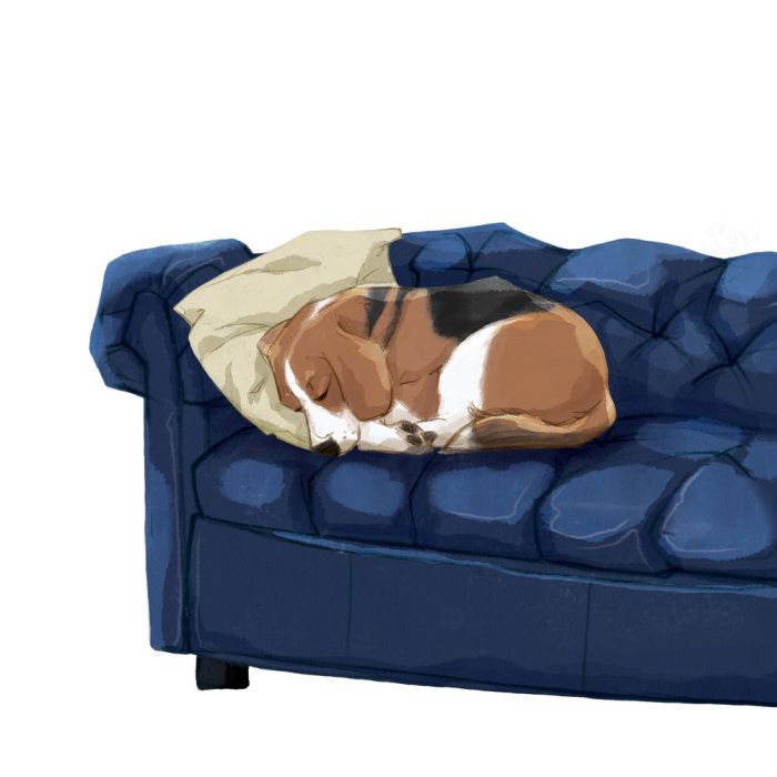 Cachorro dormindo em uma ilustração de sofá