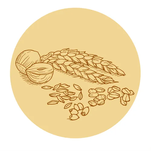 Line drawing of wheat and nuts by Andreas Schickert