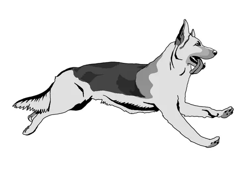 Running German Shepherd dog illustration by Andreas Schickert
