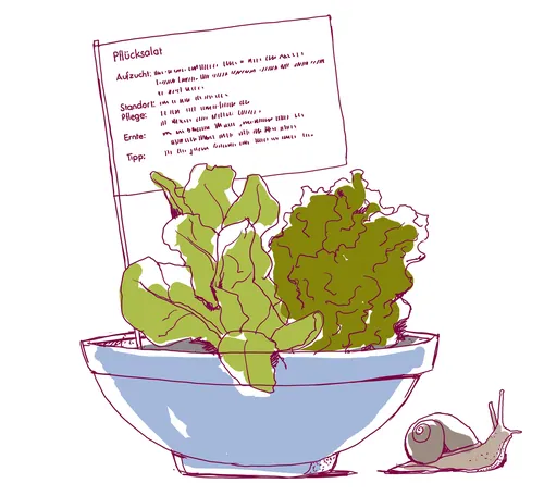 Illustration of lettuce in a bowl beside a snail by Andreas Schickert