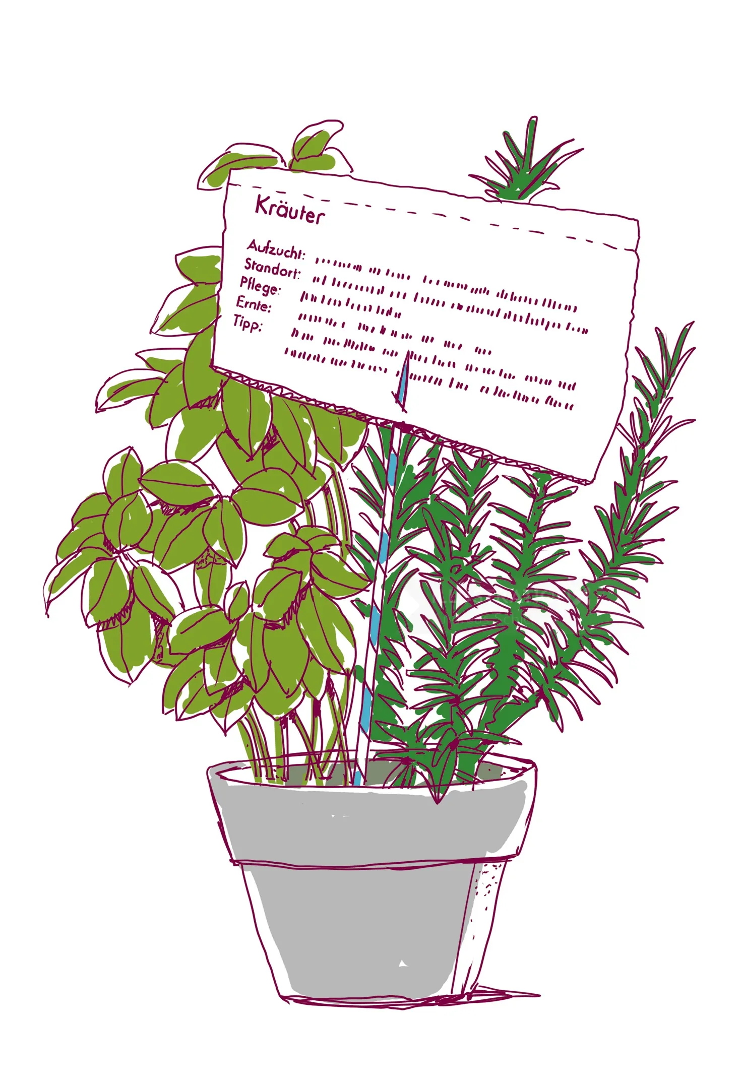 Illustration of potted herb plants with German label by Andreas Schickert
