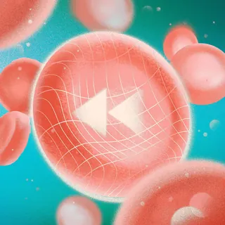 Red cell with rewind symbol on a turquoise background