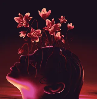 Profile of face with red flowers growing from head in dark background