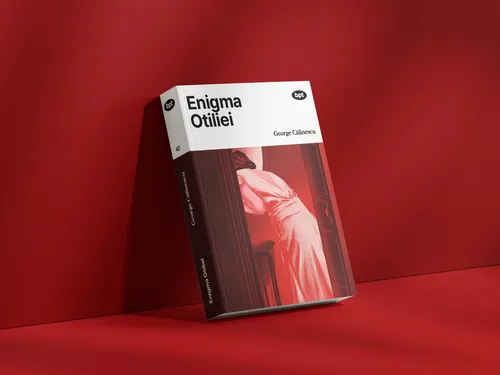 Book cover of Enigma Otiliei by George Calinescu on red background by Andrei Nicolescu
