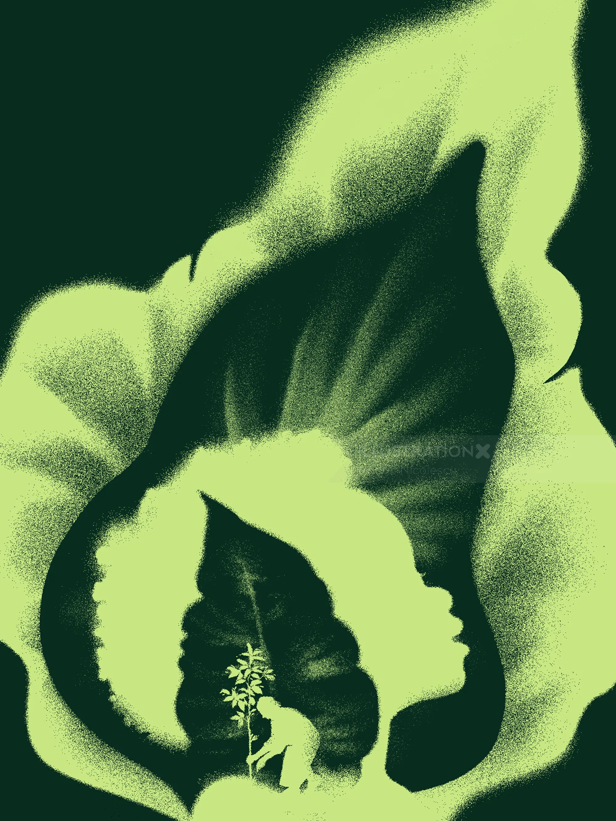 Green botanical profile illustration by Andrei Nicolescu
