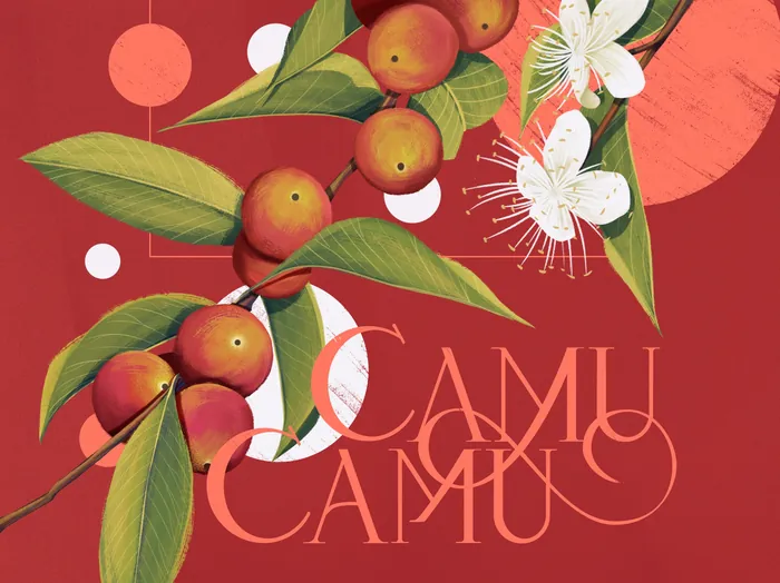 Illustration of red fruits and white flowers on branches by Andressa Meissner