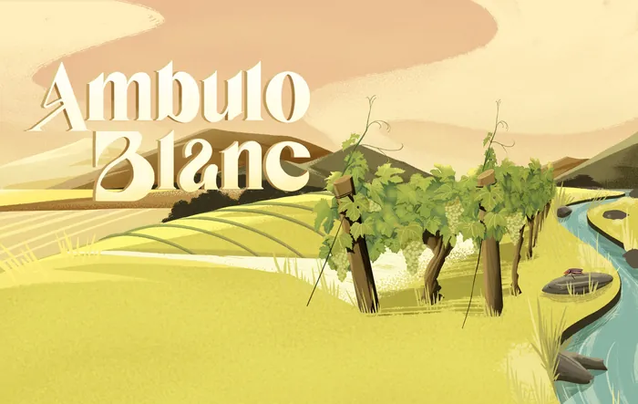 Vineyard with green grapevines near a river under warm sky.