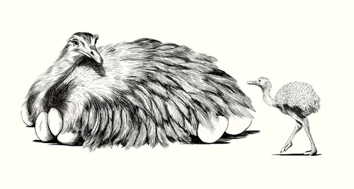 Illustration of a large bird on eggs with a chick standing next to it