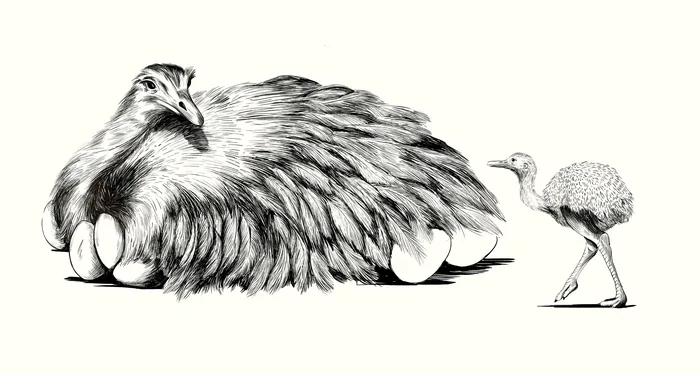 Illustration of a large bird on eggs with a chick standing next to it