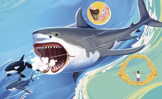 海岸近くでシャチを追いかけるホホジロザメ | Illustration by