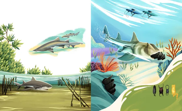 Sharks swimming in natural underwater habitats with coral and water surface