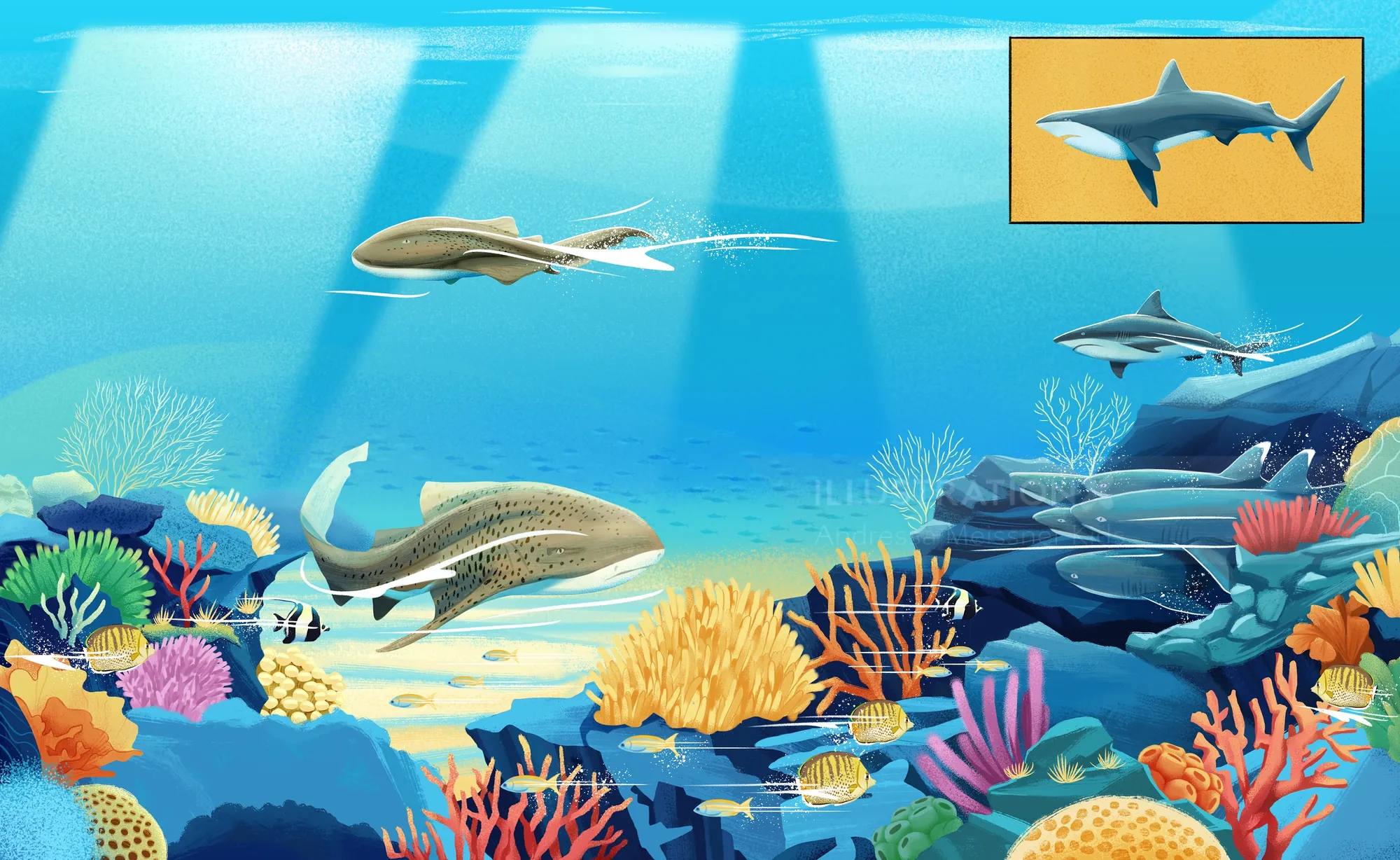 Underwater view of various fish swimming near colorful coral reefs