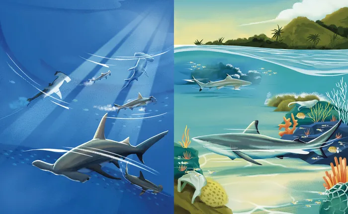 Sharks swimming underwater with fish and coral reef scenery