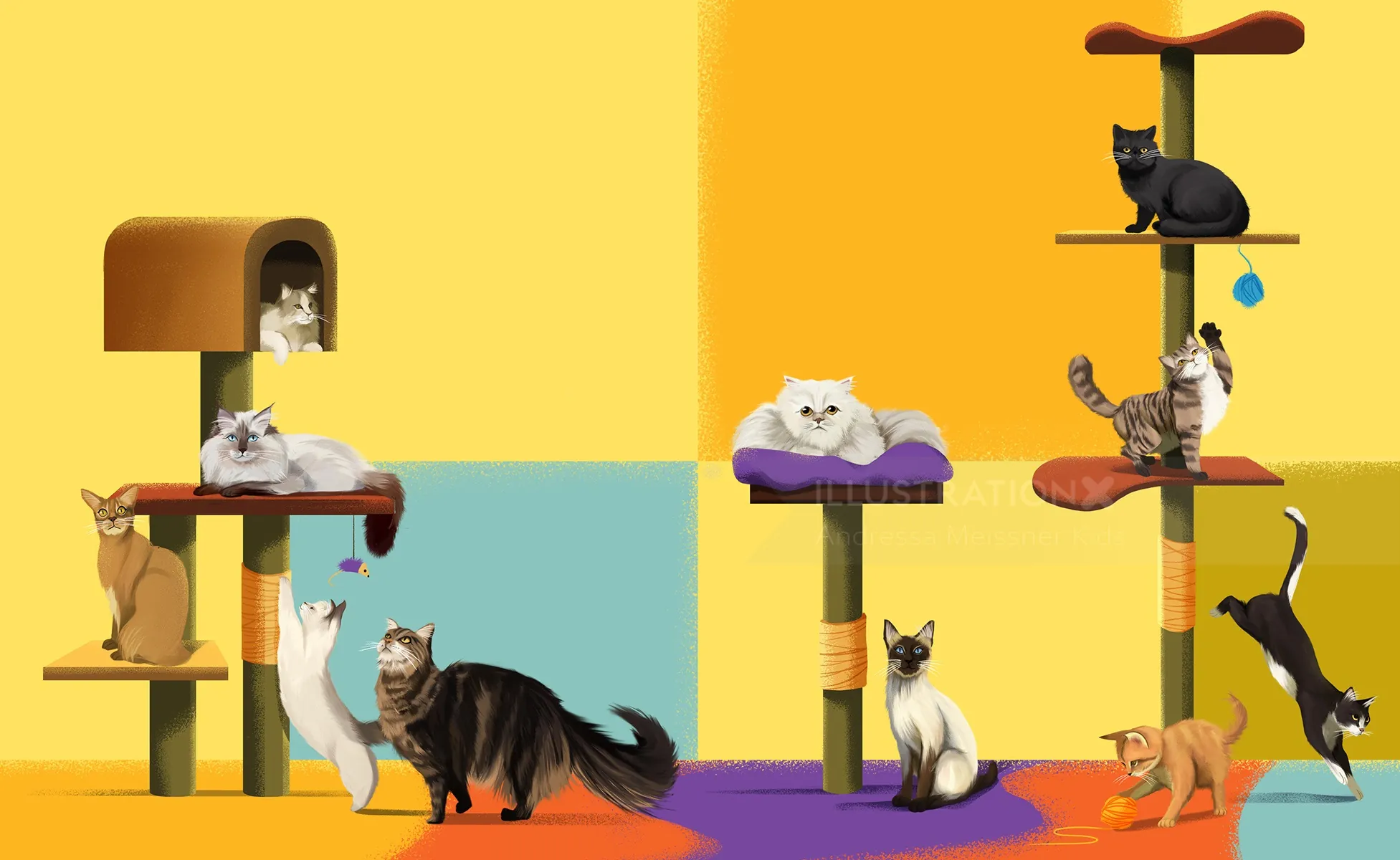 Nine cats on colorful cat trees against a yellow and blue wall