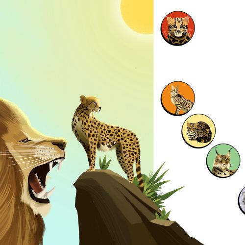 african_wild_animals_illustrat