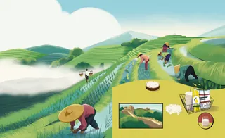 Farmers harvesting rice on terraced fields in misty mountains