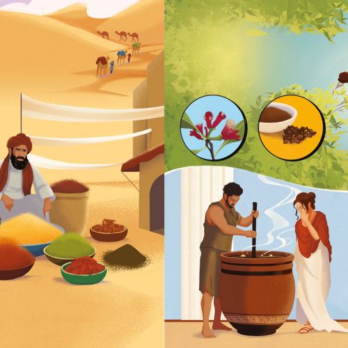 Traditional spice trader with goods and spice harvesting scenes