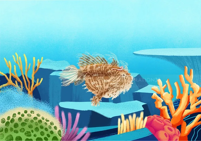 Lionfish swimming near colorful coral and rocks underwater by Andressa Meissner Kids