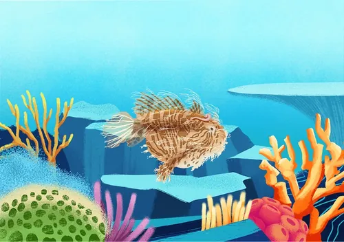 Lionfish swimming near colorful coral and rocks underwater by Andressa Meissner Kids