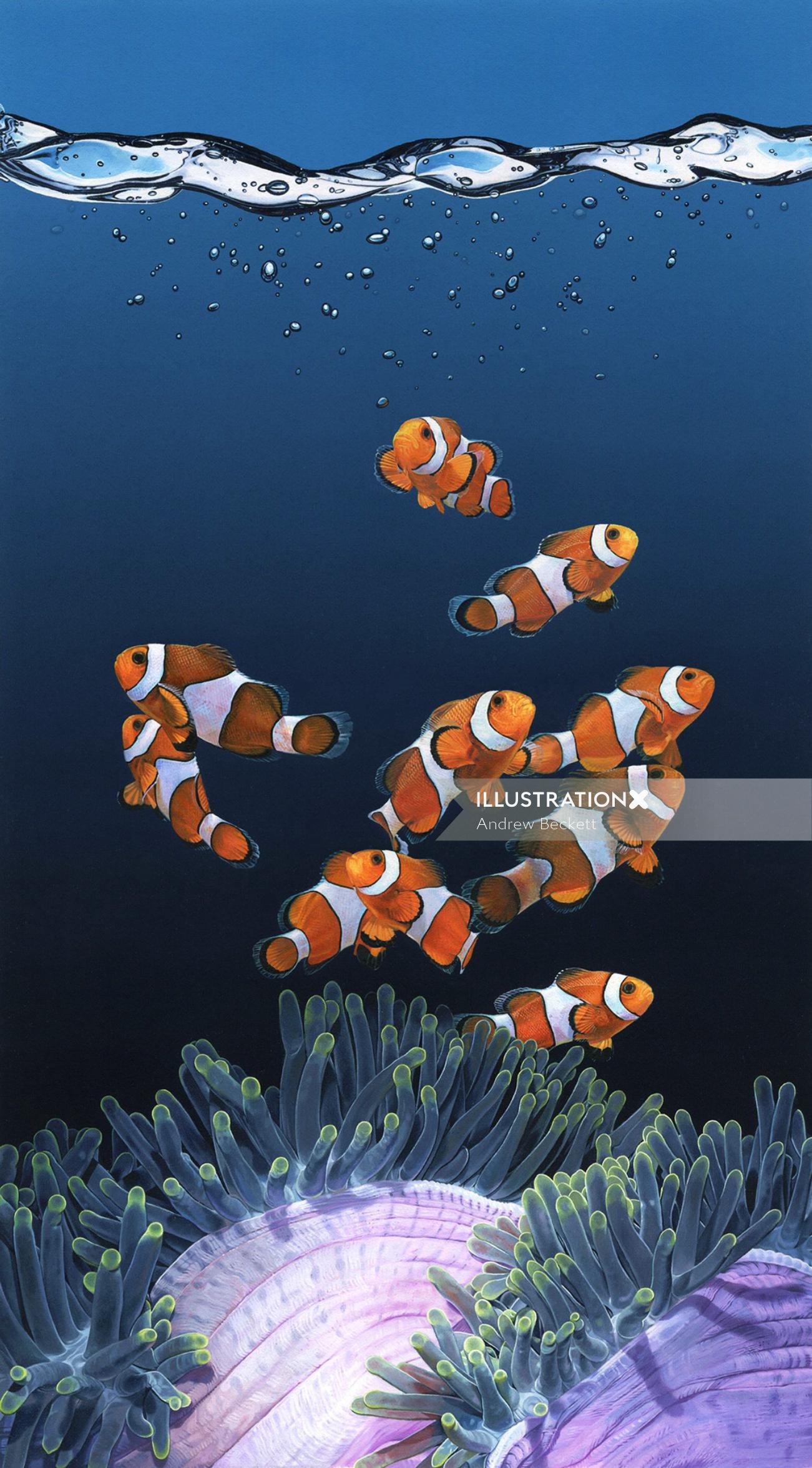 Creative photography of clown fishes