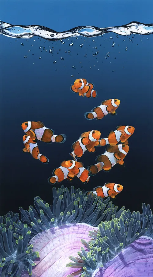 Creative photography of clown fishes