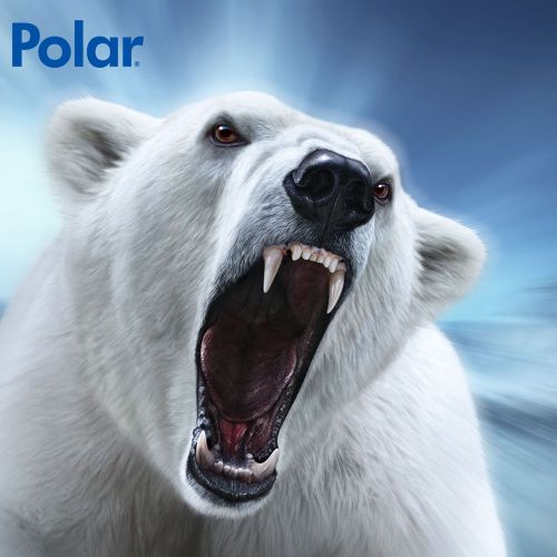 Creative ad poster of Keylite Polar Bear