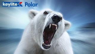 Póster publicitario creativo del oso polar Keylite.