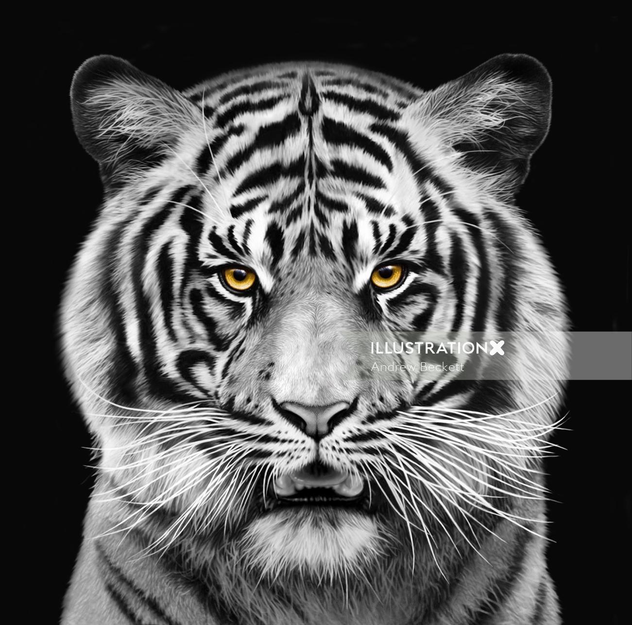 Black and white portrait of Tiger for Saatchi Germany